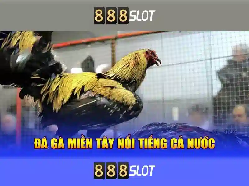  dịch vụ Slot - 888slot